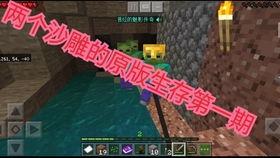 國產(chǎn)版口袋妖怪視頻,探索神奇寶貝的東方魅力之旅